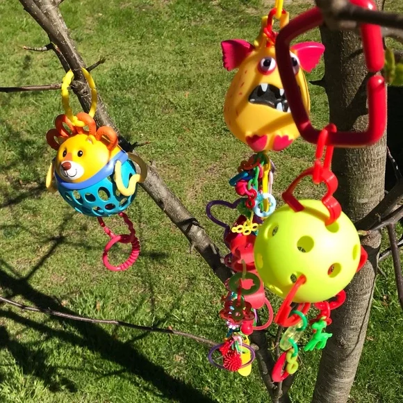 Lot Small Pet Hanging Enrichment Sugar Glider Toys Extra Hanging Clips - Picture 10 of 12